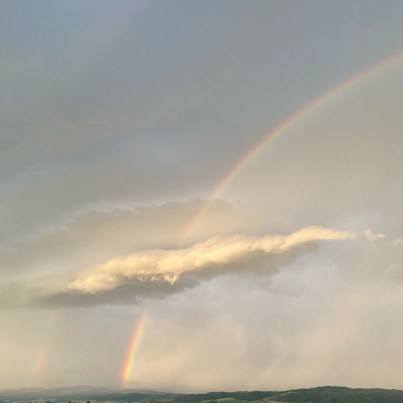 Meet your Posher, Riley - Picture 6 of 6